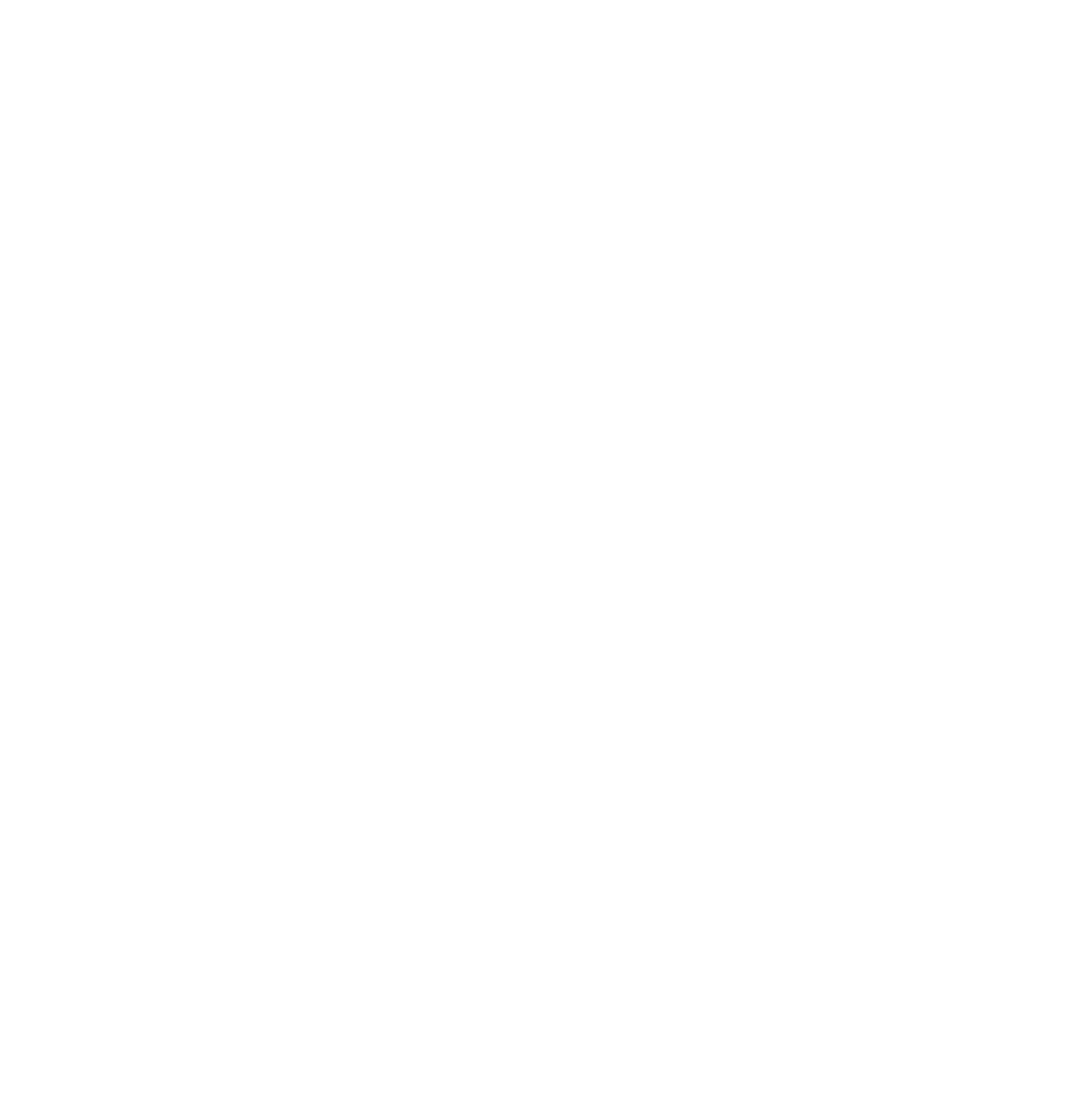 Dirk Nellens logo